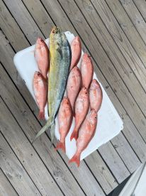 Slammer Trip with Captain Seth!!