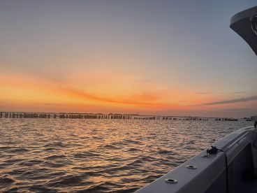 Offshore Half Day with Captain Spencer 