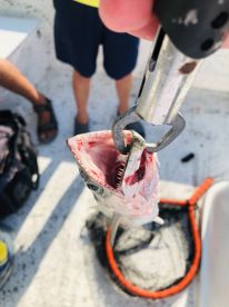 4 Hour Inshore\/Nearshore