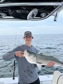 Half day trip with cape Ryan 