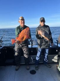 Fantastic Trip and Guides