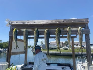 Half day trip with Doc