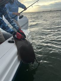 Fun evening on the Harbor