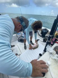 Doc and George diligently measuring fish