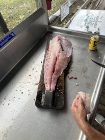 8 - 10 towers & reefs