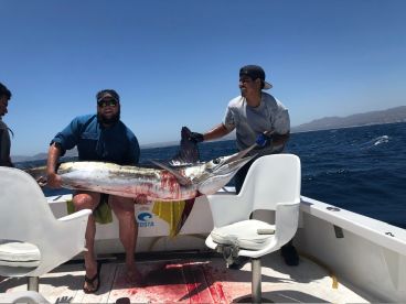 Two anglers proudly displaying a large Marlin on a sport fishing boat, showcasing a successful catch during a deep-sea fishing adventure.