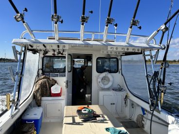Interior view of a fishing boat showcasing the helm and seating area, with fishing rods mounted above and a cooler on the side.