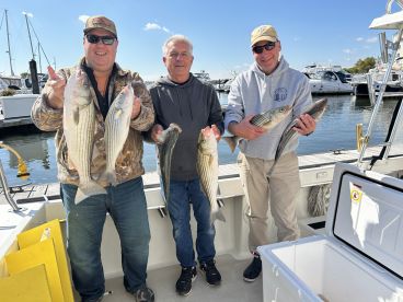 Three anglers proudly displaying their catch of striped bass on a sunny day at the marina.