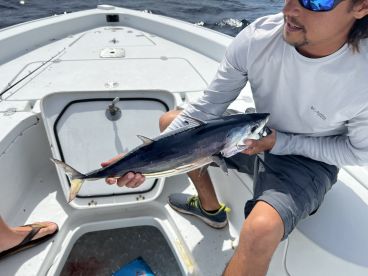 Incredible Florida Day 