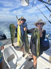 Above all expectations 