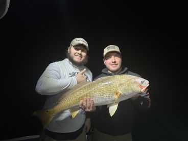 Would highly recommend 