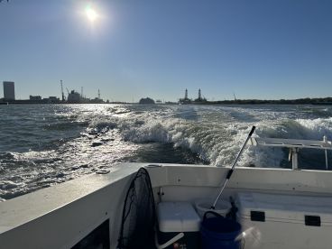 Exceeded expectations! 