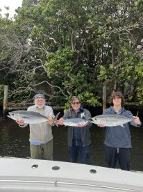 Brought home dinner! 