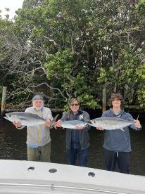 Brought home dinner! 