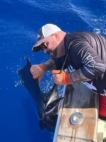 We crushed them with Crush Em