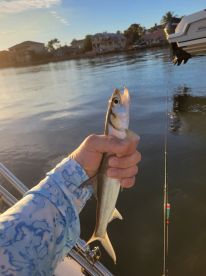 Great family excursion!