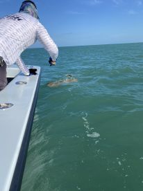 An angler actively reeling in a fish while fishing in clear blue waters, showcasing the excitement of the catch.