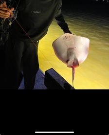 Amazing fishing-hunting