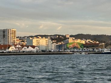 A scenic view of a marina with various boats docked, featuring a vibrant mural on a building in the background, capturing the essence of a coastal fishing environment.