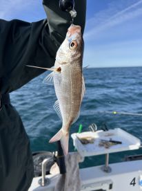 An angler is reeling in a Snapper while fishing on a boat, showcasing the excitement of the catch against a beautiful ocean backdrop.