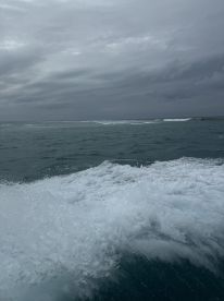 A view of turbulent ocean waves under a cloudy sky, capturing the dynamic nature of the fishing environment.