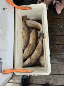 May 4 AM fishing trip