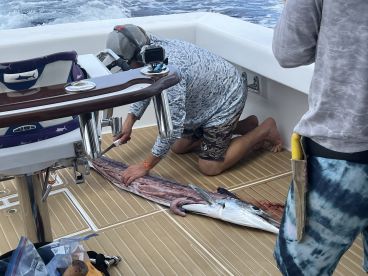 An angler is filleting a large fish on the deck of a sportfishing boat, showcasing the catch in a busy fishing environment.