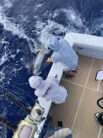 Two anglers actively reeling in a large fish while deep-sea fishing, showcasing the excitement of the catch in open waters.