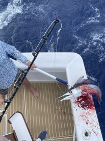An angler actively reeling in a large fish aboard a sportfishing boat, showcasing the excitement of deep-sea fishing.