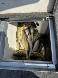 Great captain, boat and trip