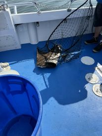 An interior shot of a fishing boat showing a net and a blue bucket, with minimal visible details.