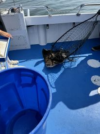 An interior view of a fishing boat with a net and a blue bucket, capturing the fishing environment but lacking a clear subject.