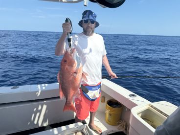 Exactly what we were hoping for 