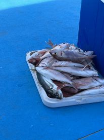 Early morning fishing with Mile