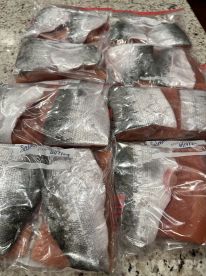 Multiple bags of filleted fish, including Salmon and other species, neatly stored in a kitchen setting.