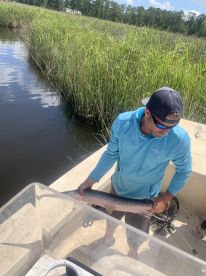 Angler holding a large fish, likely a Northern Pike, while fishing in a lush marsh environment.