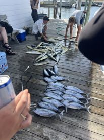 A group of anglers arranging a large catch of Mahi Mahi and other species on a dock, showcasing their successful fishing trip.