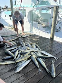 A group of anglers displaying a large catch of Mahi Mahi on the dock after a successful fishing trip.