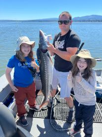 Absolutely Fantastic Day