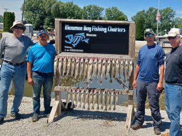 A group of anglers proudly posing with their catch of Walleye displayed on a board at Maumee Bay Fishing Charters.