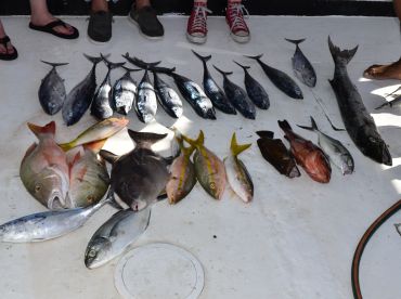 Great Crew, Great Time, So-So Boat