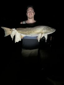 Angler proudly displaying a large Redfish during a nighttime fishing trip.