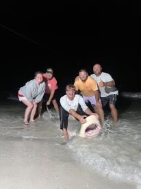 A group of anglers celebrating a successful catch of a large shark on the beach at night, showcasing teamwork and excitement.