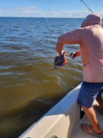 Angler reeling in a fish while fishing from a boat in open waters, showcasing the excitement of the catch.