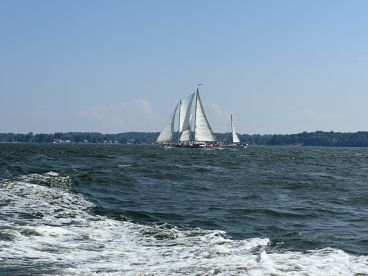 Sailboats navigating through the waves on a sunny day, showcasing a lively sailing environment.