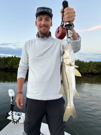 Angler proudly displaying a Snook caught while fishing in a mangrove area during a sunset.