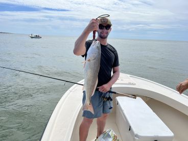 Too Big for Fish Tacos