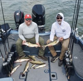 Captain Red Beard put Meat in the Box