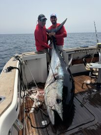 Giant Tuna Trolling