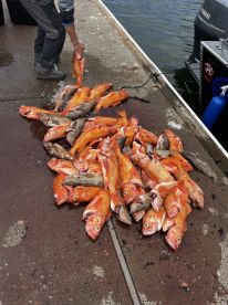 Jamie put us on the fish!